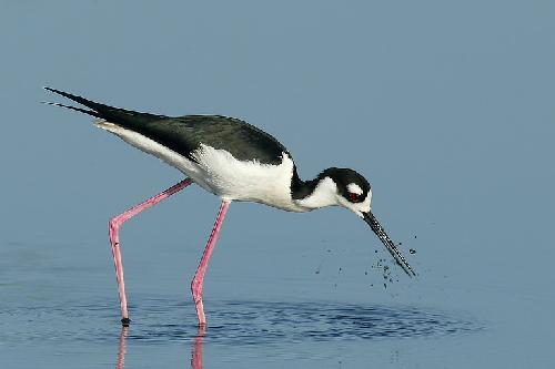 biuro podróży Piła