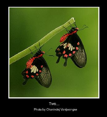 biuro podróży Piła polecane biuro podróży Piła polecane