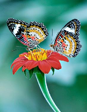 Piła firma remontowa