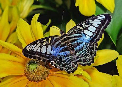 firmy remontowe w Pile