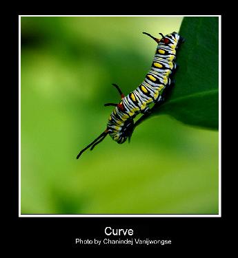 Pila firma budowlana