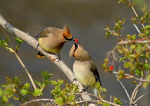 biuro turystyczne Piła