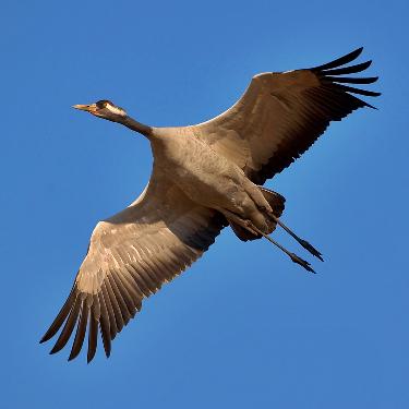 hurtownia odzieży używanej