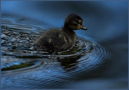 remont mieszkania w Pile