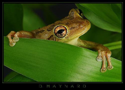 firmy budowlane w Pile