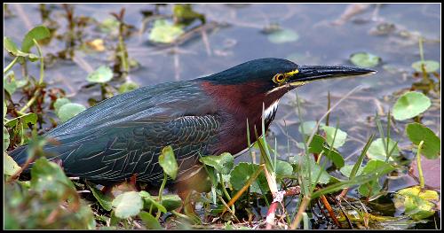 architekci wnętrz Piła