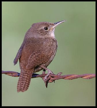 strony internetowe Piła