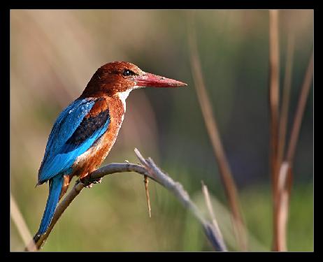 remont mieszkania w Pile