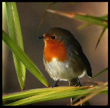 usługi remontowe w Pile