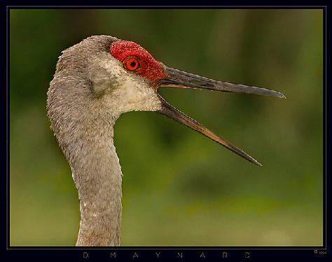 malowanie ścian Piła
