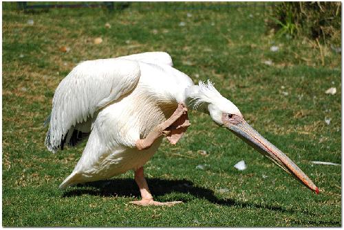 firmy remontowe Piła