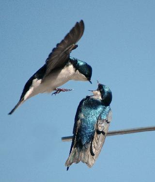 remonty mieszkań Straduń