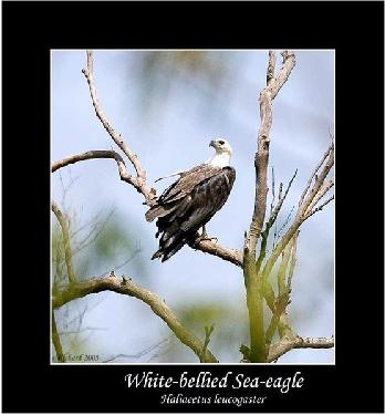 remont mieszkania Pila